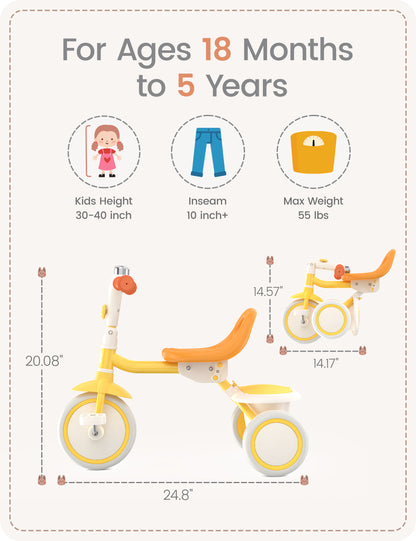 WhizKidz 2 in 1 Toddler Tricycle